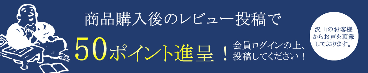 レビューポイントプレゼント